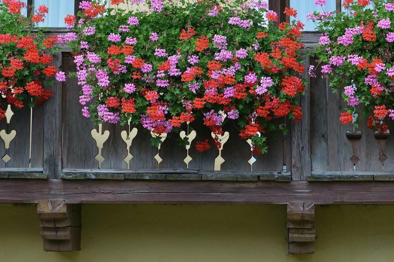 Muellnerbauer Apartment Penk Exterior foto